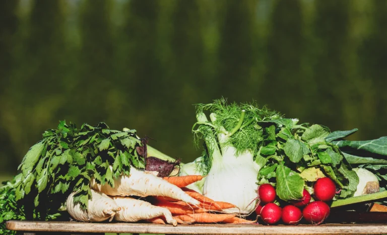 Fresh carrots, radishes, fennel and leafy vegetables
